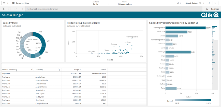 Qlik Sense Video