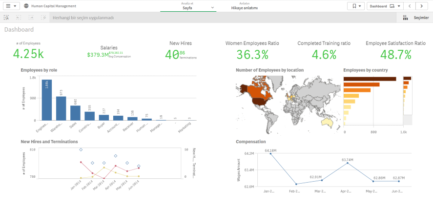 Qlik Sense Ankara